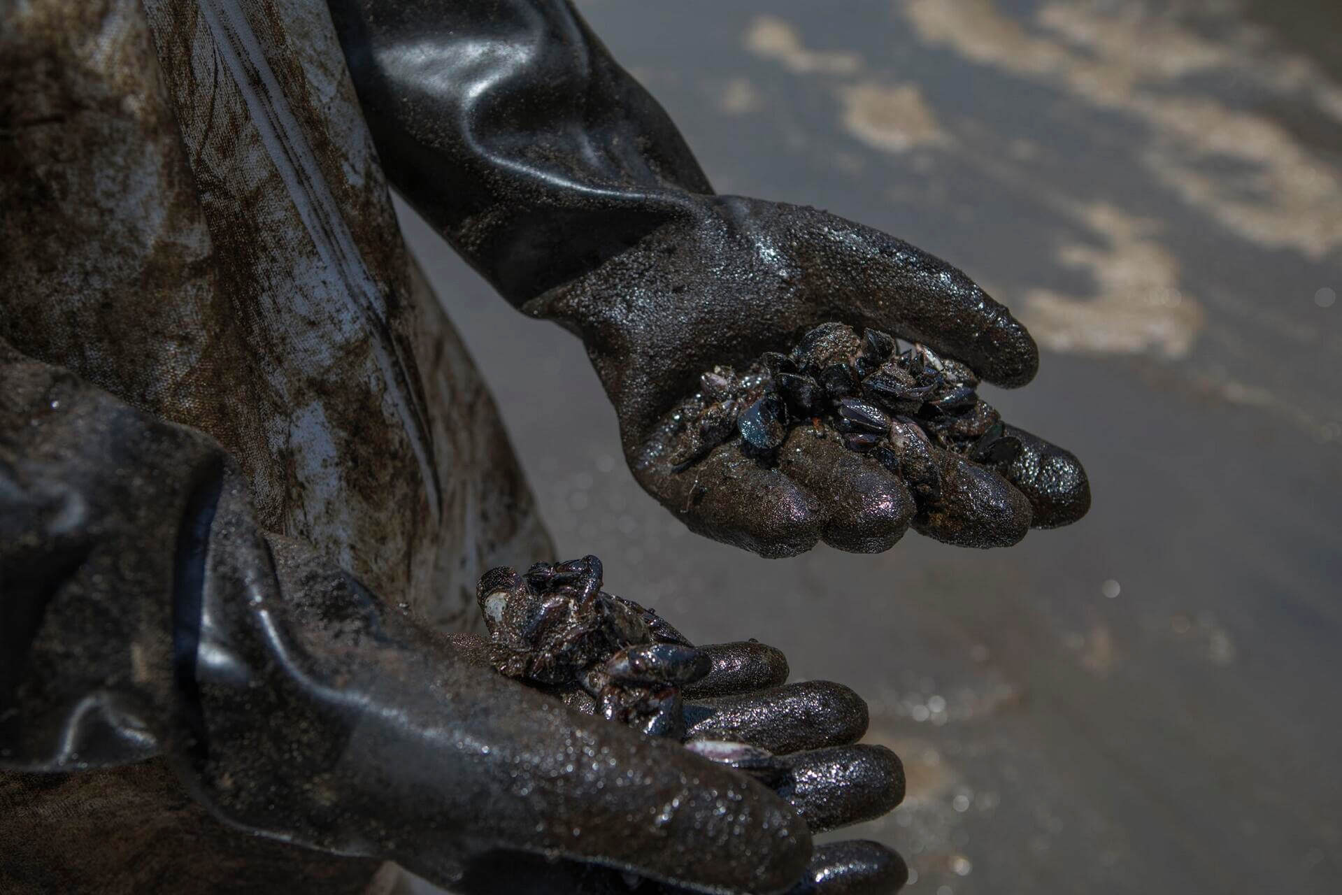 ESPERA. A un mes del derrame del derrame de crudo de Repsol, todavía continúa la limpieza en las orillas de las playas de Ventanilla y Ancón. 