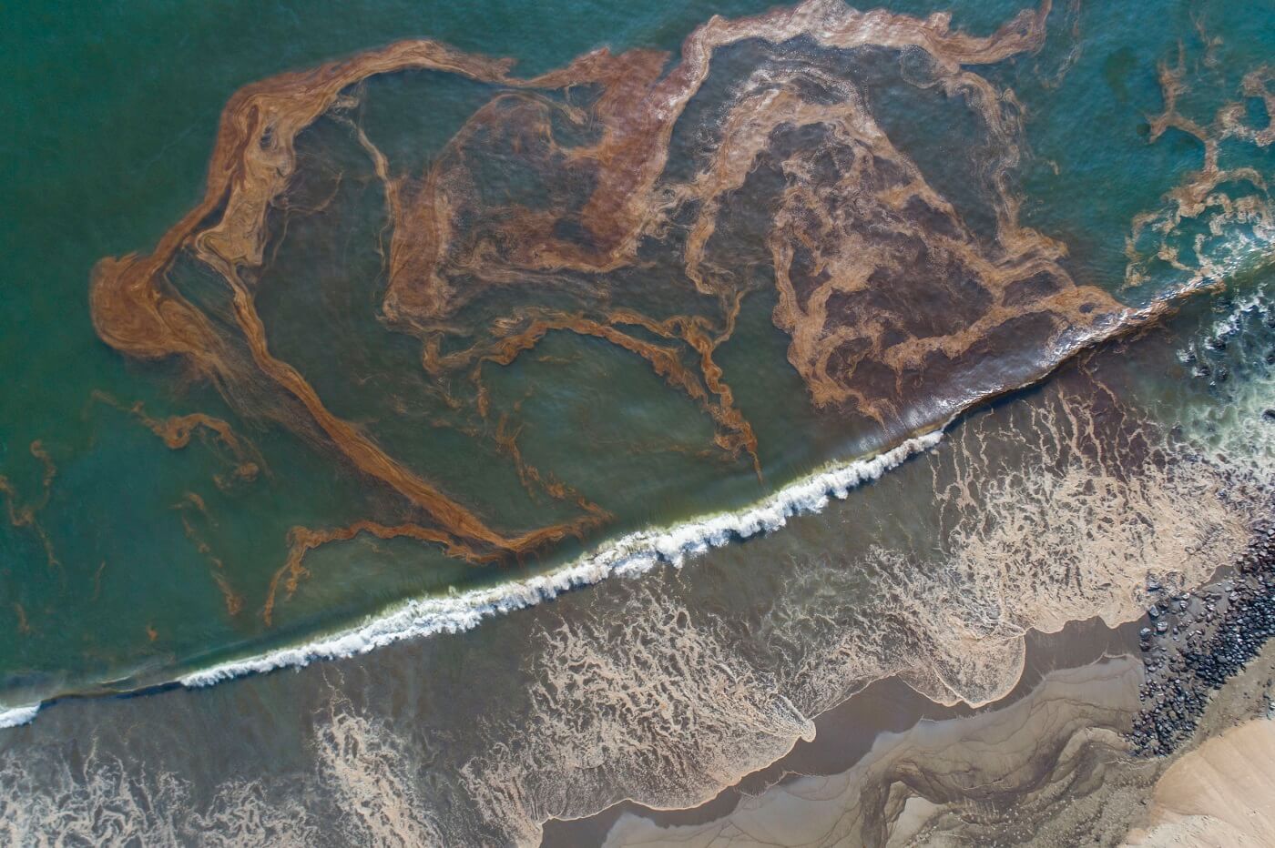 IMPACTO. A casi un mes del derrame de más de 10.000 barriles de petróleo, la limpieza continúa -principalmente- en playas de Ventanilla y Ancón.