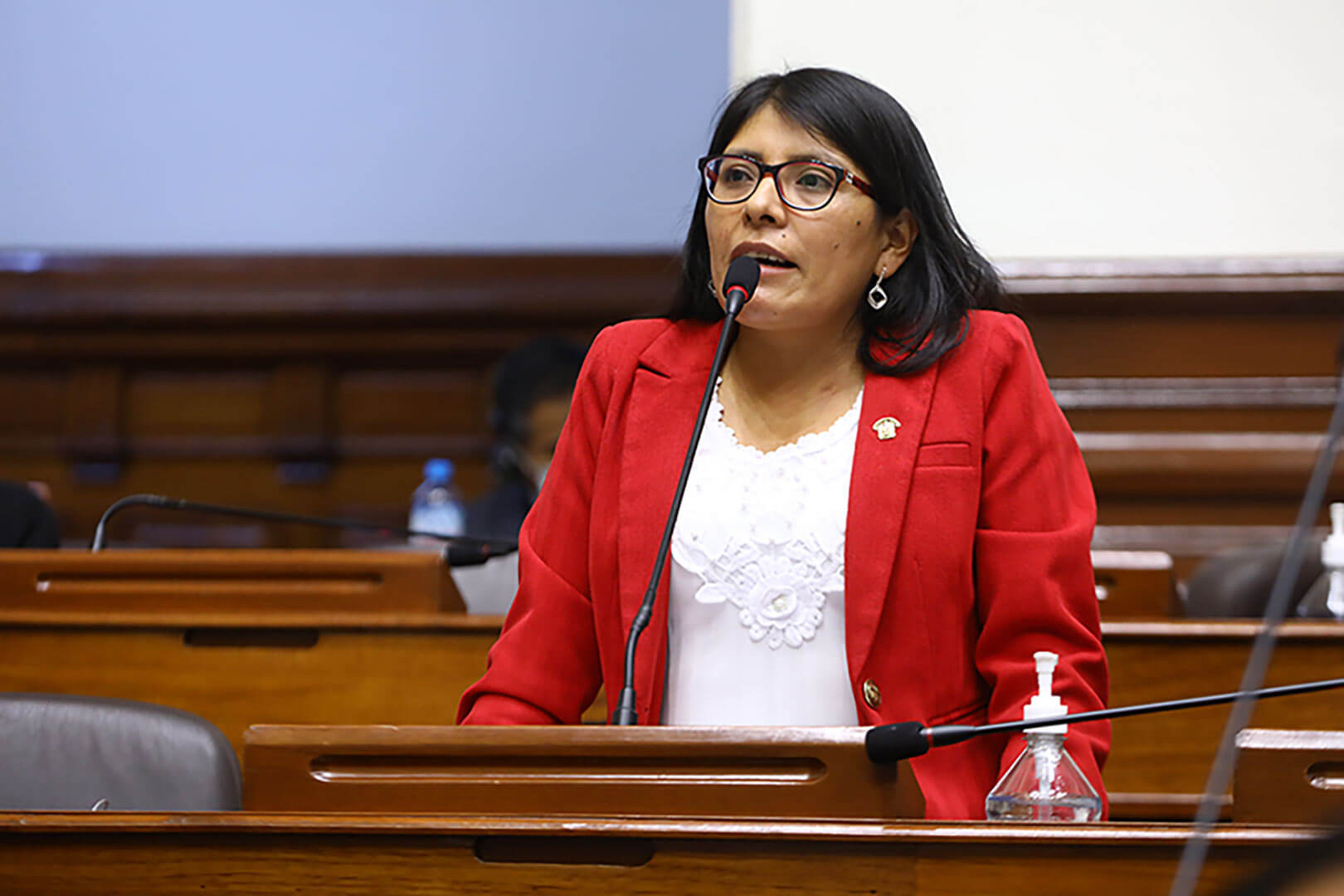 Margot Palacios, congresista del Perú Libre. 