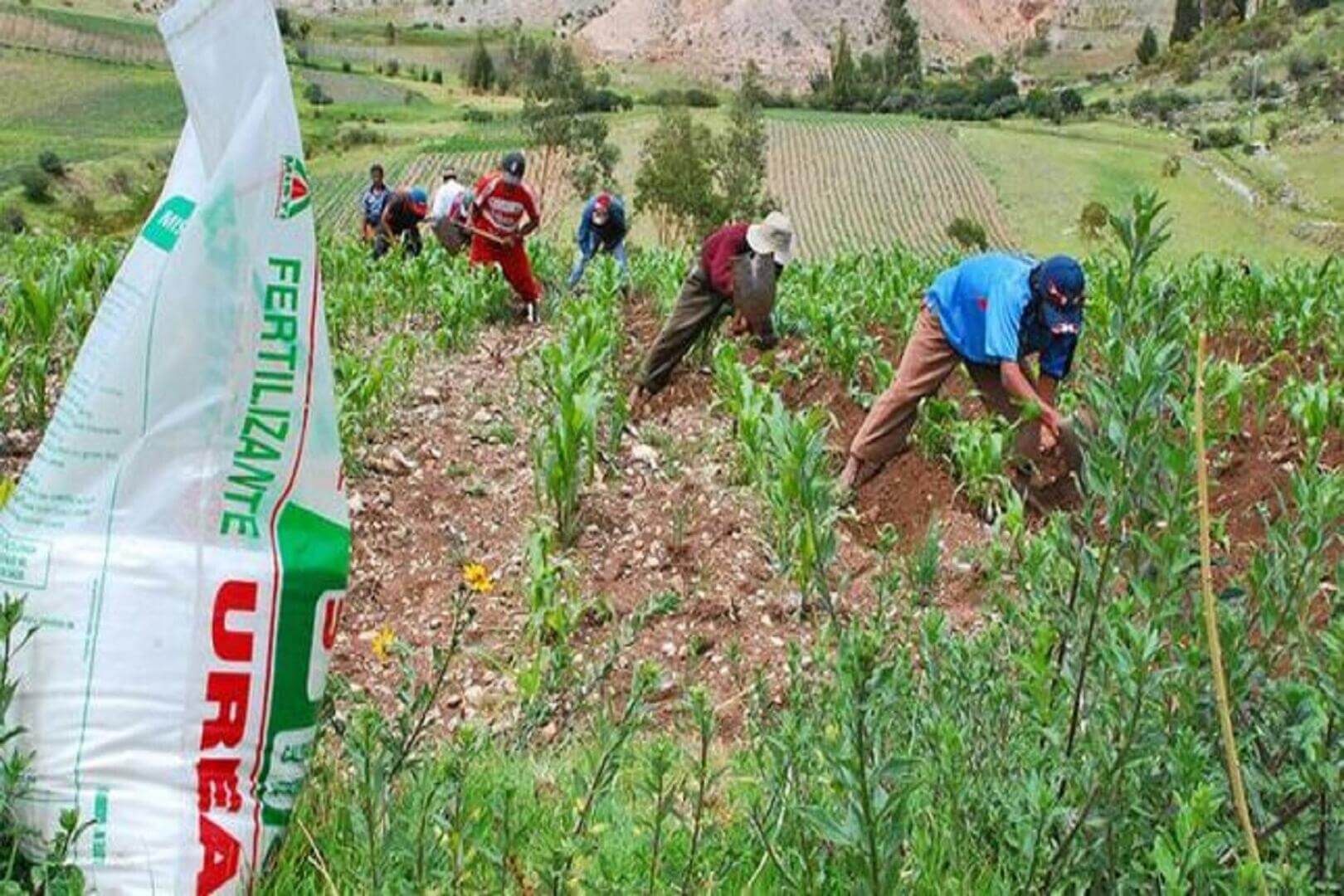 FERTILIZANTES. Los precios de los fertilizantes van en alza a nivel mundial, lo que podría provocar problemas de producción en la agricultura.