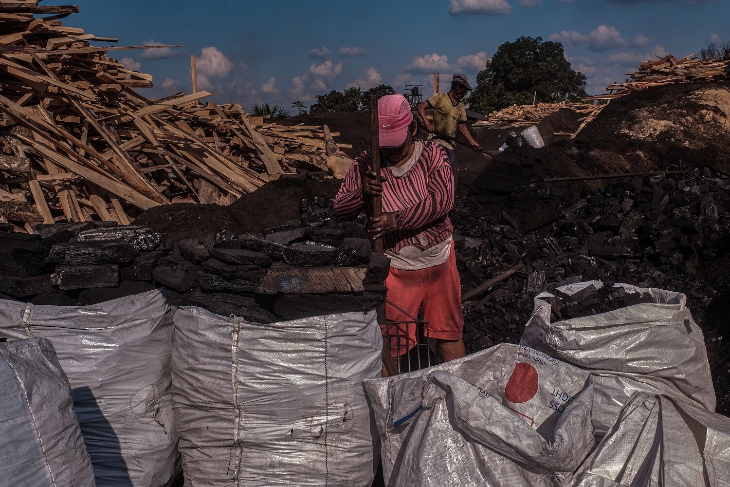 SIN ETIQUETADO. Las marcas no brindan detalles sobre la procedencia de las especies forestales o la sostenibilidad del producto que comercializan. 