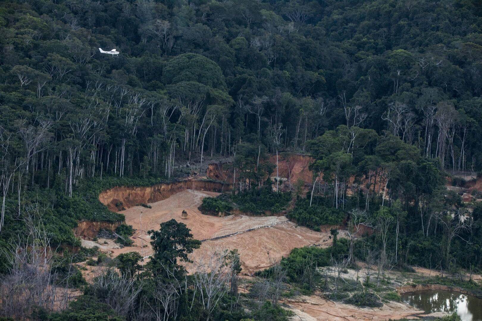 RORAIMA. Vista aérea de una pista de aterrizaje ilegal en tierras indígenas de Brasil.