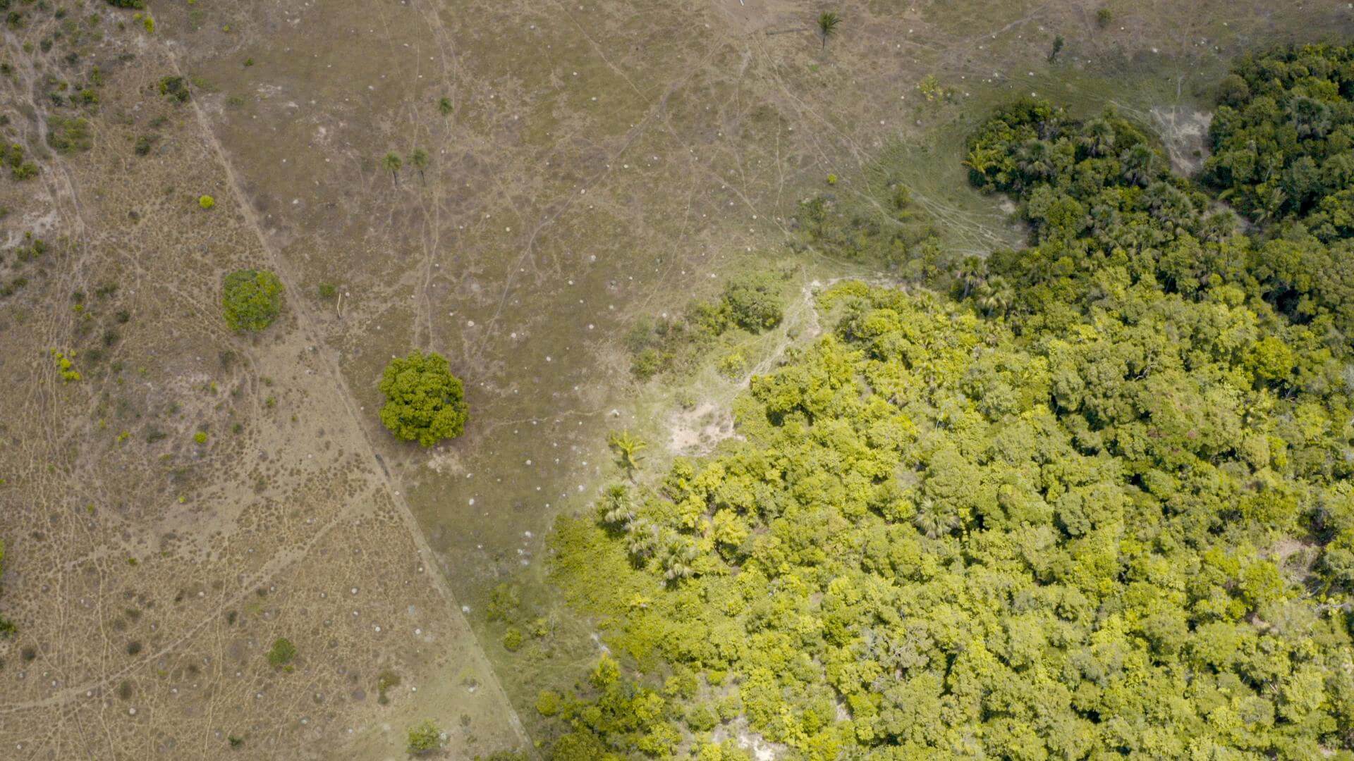 A CONTRARRELOJ. El 90% de la deforestación y degradación se concentran en la Amazonía brasileña y boliviana.