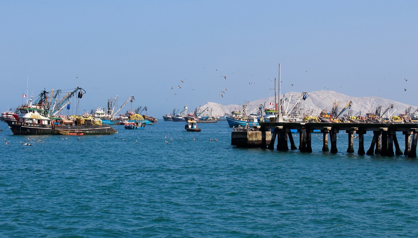 SIMULADAS. Fueron seis las inspecciones simuladas que se reportan como realizadas en Chimbote, uno de los puertos pesqueros más importantes del país.