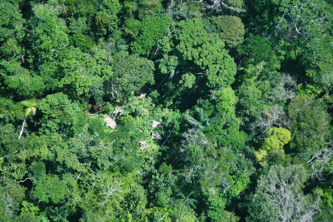 AMENAZADOS. Se han identificado malocas de indígenas en aislamiento en la Reserva Indígena Yavarí-Tapiche, en Loreto, frontera con Brasil.