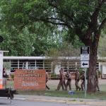 TIROTEO EN EE.UU. Policías frente a la escuela primaria Robb en Uvalde, Texas, el martes 24 de mayo de 2022.