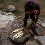 OPCIONES. Ante el incremento de los producto procesados en los mercados, los indígenas han retomado desde la pandemia sus prácticas ancestrales de caza, pesca y horticultura.