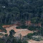 RORAIMA. Vista aérea de una pista de aterrizaje ilegal en tierras indígenas de Brasil.