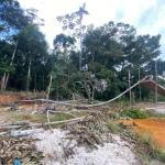 DAÑO AMBIENTAL. Minería ilegal en Madre de Dios nunca se detuvo. 