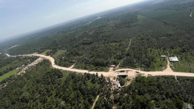 SUPERFICIALES. El Congreso propone una serie de proyectos para declarar de interés nacional la construcción de carreteras en la Amazonía sin tener sustento técnico.