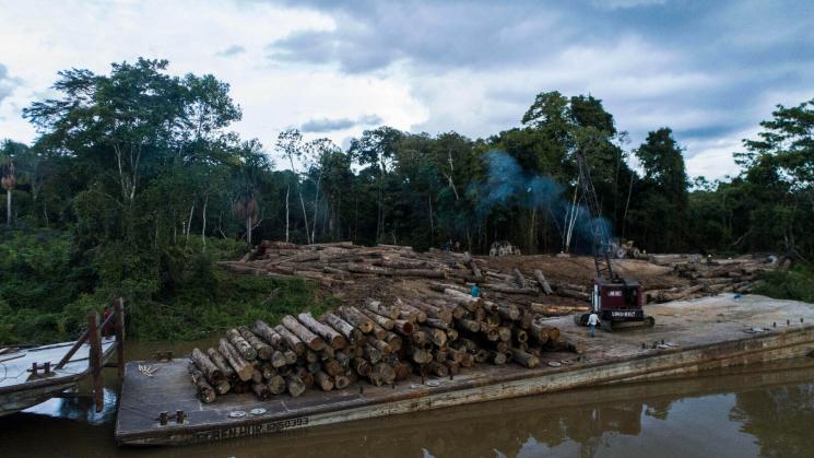 CUESTIONADAS. Entre las empresas con concesiones forestales en Loreto figuran madereras sancionadas por extracción ilegal de este recurso.