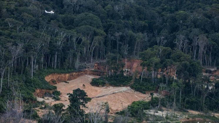 RORAIMA. Vista aérea de una pista de aterrizaje ilegal en tierras indígenas de Brasil.