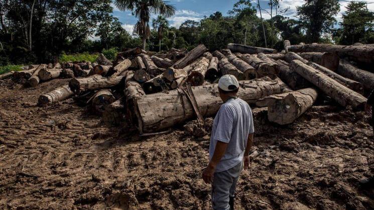 TALLER. Periodistas y comunicadores indígenas de Loreto, Ucayali y Madre de Dios podrán participar en este taller sobre delitos ambientales en contexto electoral.