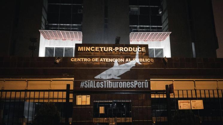 DECISIÓN. El Ministerio de la Producción y el Instituto del Mar del Perú son las entidades encargadas de votar por proteger o no a una familia de tiburones.