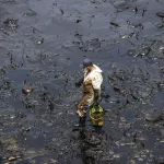 IMPACTO. El derrame de crudo en el mar de Ventanilla se ha extendido por casi  casi 3 millones de metros cuadrados de playa.