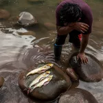 OPCIONES. Ante el incremento de los producto procesados en los mercados, los indígenas han retomado desde la pandemia sus prácticas ancestrales de caza, pesca y horticultura.