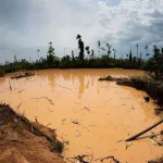 AUMENTO. La minería ilegal, que extrae oro en la Amazonía peruana, busca nuevas zonas para extraer el mineral.