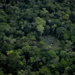 ANTECEDENTES. El caso de Napo-Tigre y afluentes se inicia en 2003 con la primera solicitud de creación de esta reserva.