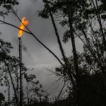 INDUSTRIAS EXTRACTIVAS. Pozo petrolero en la región del Putumayo, Colombia.