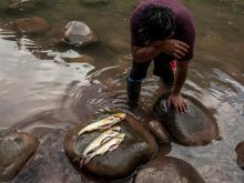 OPCIONES. Ante el incremento de los producto procesados en los mercados, los indígenas han retomado desde la pandemia sus prácticas ancestrales de caza, pesca y horticultura.