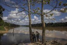 ESCENARIO. El río Itaquaí, cerca de la base de la Funai y la reserva del Valle de Javari, que alberga varios grupos indígenas aislados.