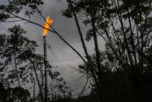 INDUSTRIAS EXTRACTIVAS. Pozo petrolero en la región del Putumayo, Colombia.