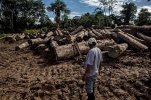 TALLER. Periodistas y comunicadores indígenas de Loreto, Ucayali y Madre de Dios podrán participar en este taller sobre delitos ambientales en contexto electoral.