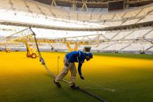 INFRAESTRUCTURA. Qatar construyó ocho nuevos estadios con canchas cubiertas de césped trasladado en avión desde EE.UU.