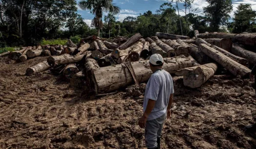 TALLER. Periodistas y comunicadores indígenas de Loreto, Ucayali y Madre de Dios podrán participar en este taller sobre delitos ambientales en contexto electoral.