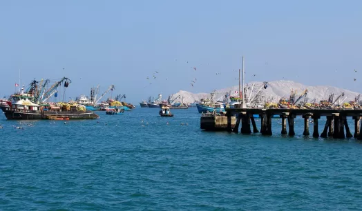 SIMULADAS. Fueron seis las inspecciones simuladas que se reportan como realizadas en Chimbote, uno de los puertos pesqueros más importantes del país.