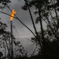 INDUSTRIAS EXTRACTIVAS. Pozo petrolero en la región del Putumayo, Colombia.