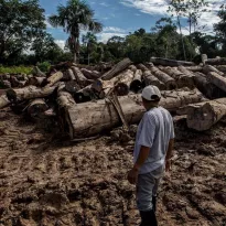 TALLER. Periodistas y comunicadores indígenas de Loreto, Ucayali y Madre de Dios podrán participar en este taller sobre delitos ambientales en contexto electoral.