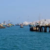 SIMULADAS. Fueron seis las inspecciones simuladas que se reportan como realizadas en Chimbote, uno de los puertos pesqueros más importantes del país.