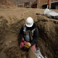 CARABAYLLO. Roberto Quispe, un arqueólogo que trabaja con una compañía de gas natural, desempolvó el cráneo de un guerrero enterrado hace 800 años.