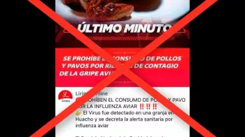 Es falso que se haya prohibido el consumo de pollos y pavos por riesgo de contagio de la gripe aviar